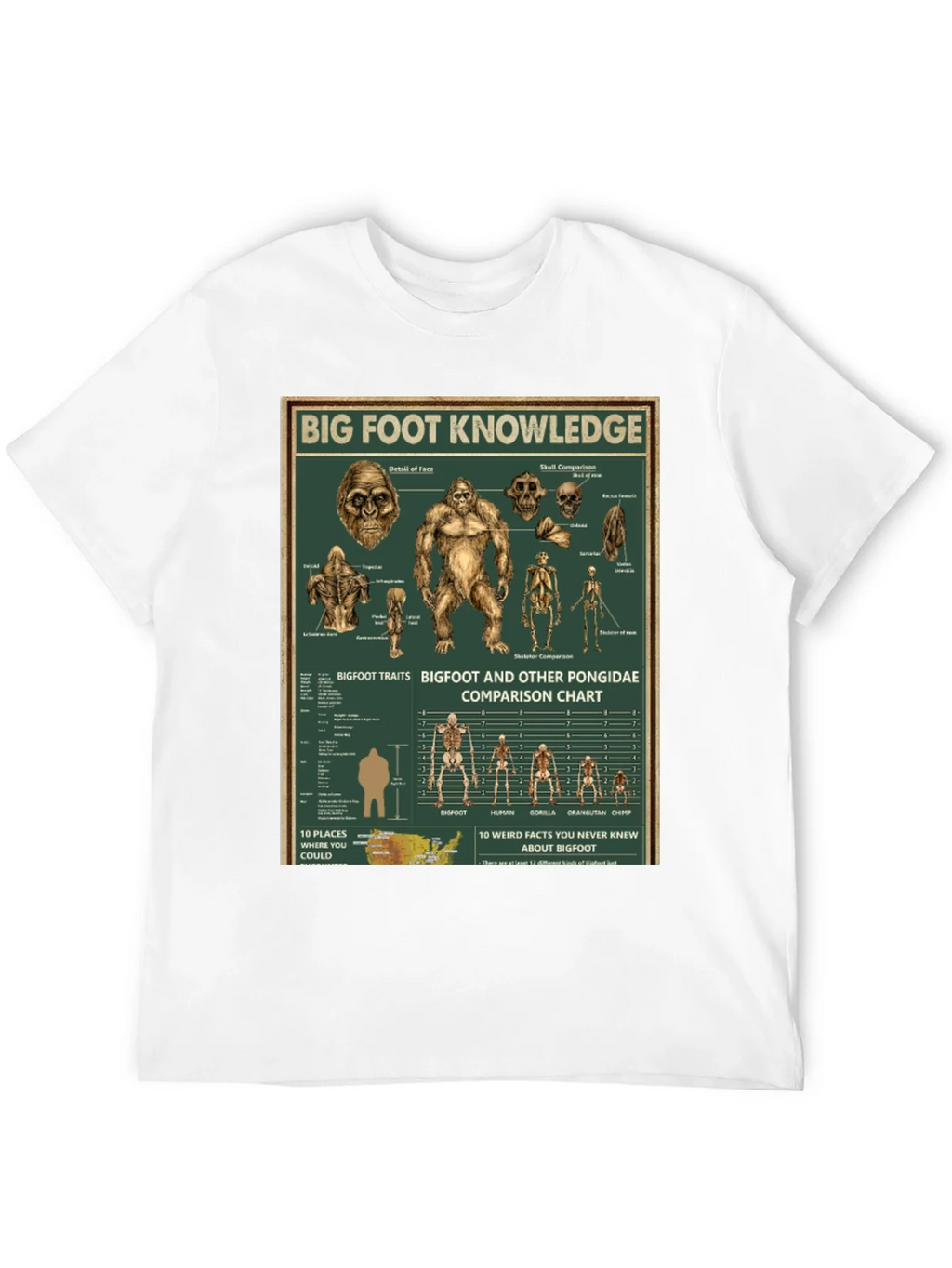Bigfoot Knowledge Graphic T-Shirt product image 11