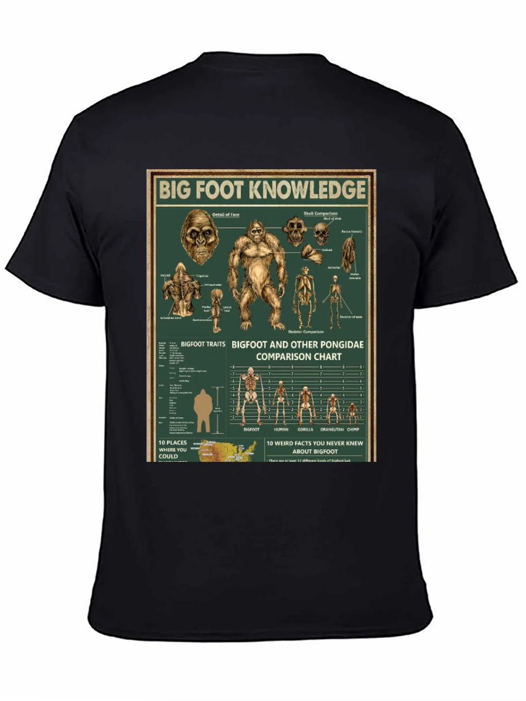 Bigfoot Knowledge Graphic T-Shirt product image 4