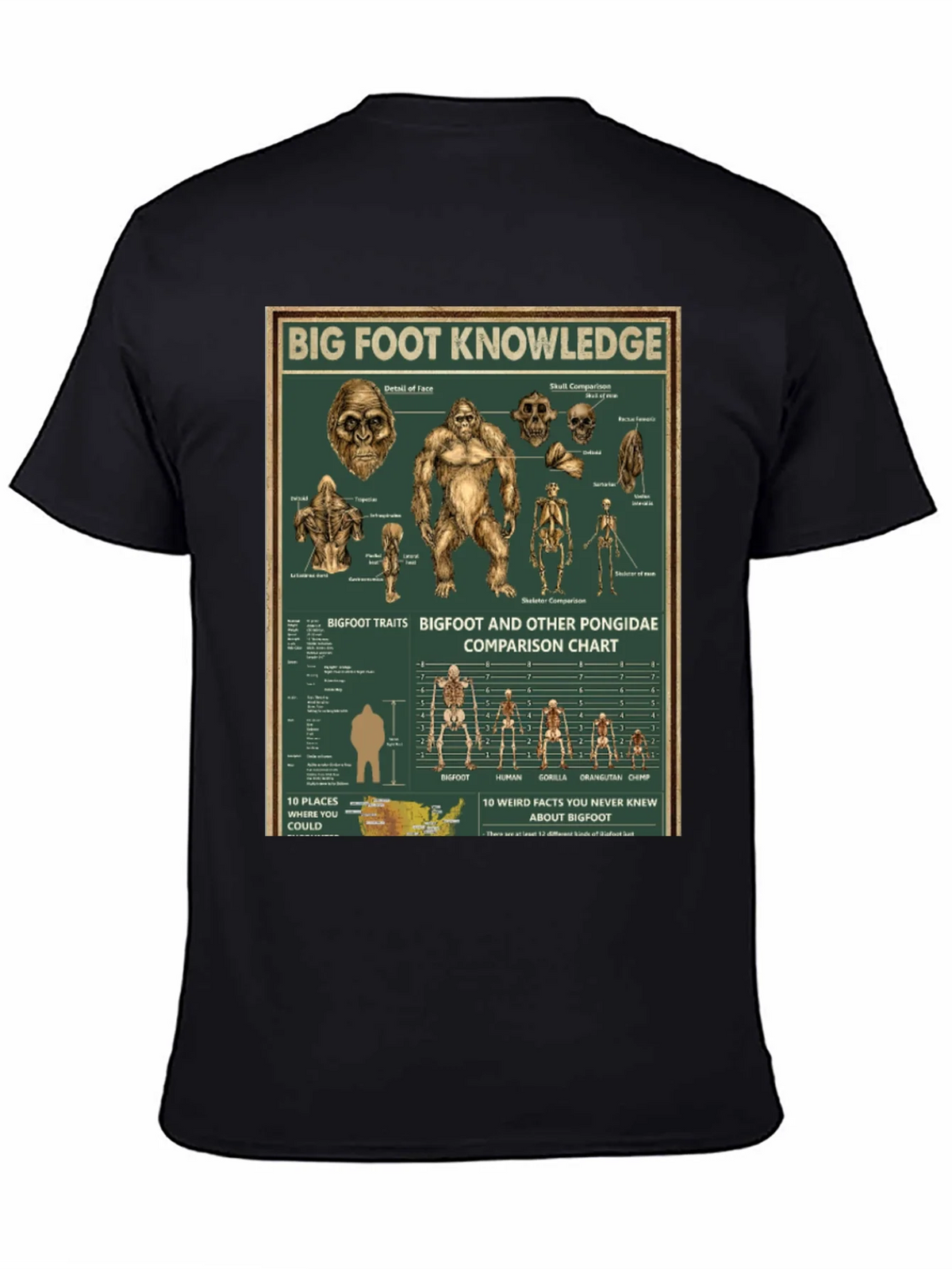 Bigfoot Knowledge Graphic T-Shirt product image 4