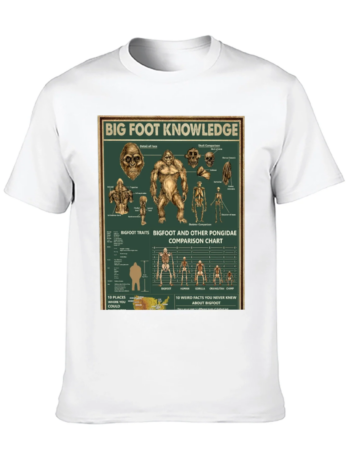 Bigfoot Knowledge Graphic T-Shirt product image 9