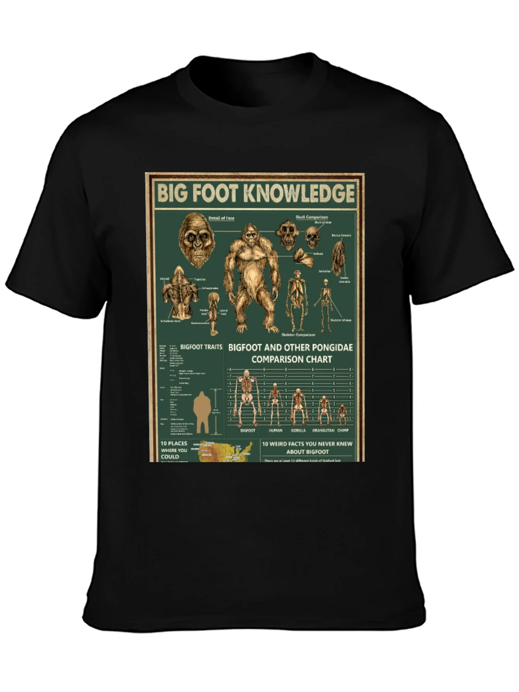Bigfoot Knowledge Graphic T-Shirt product image 3