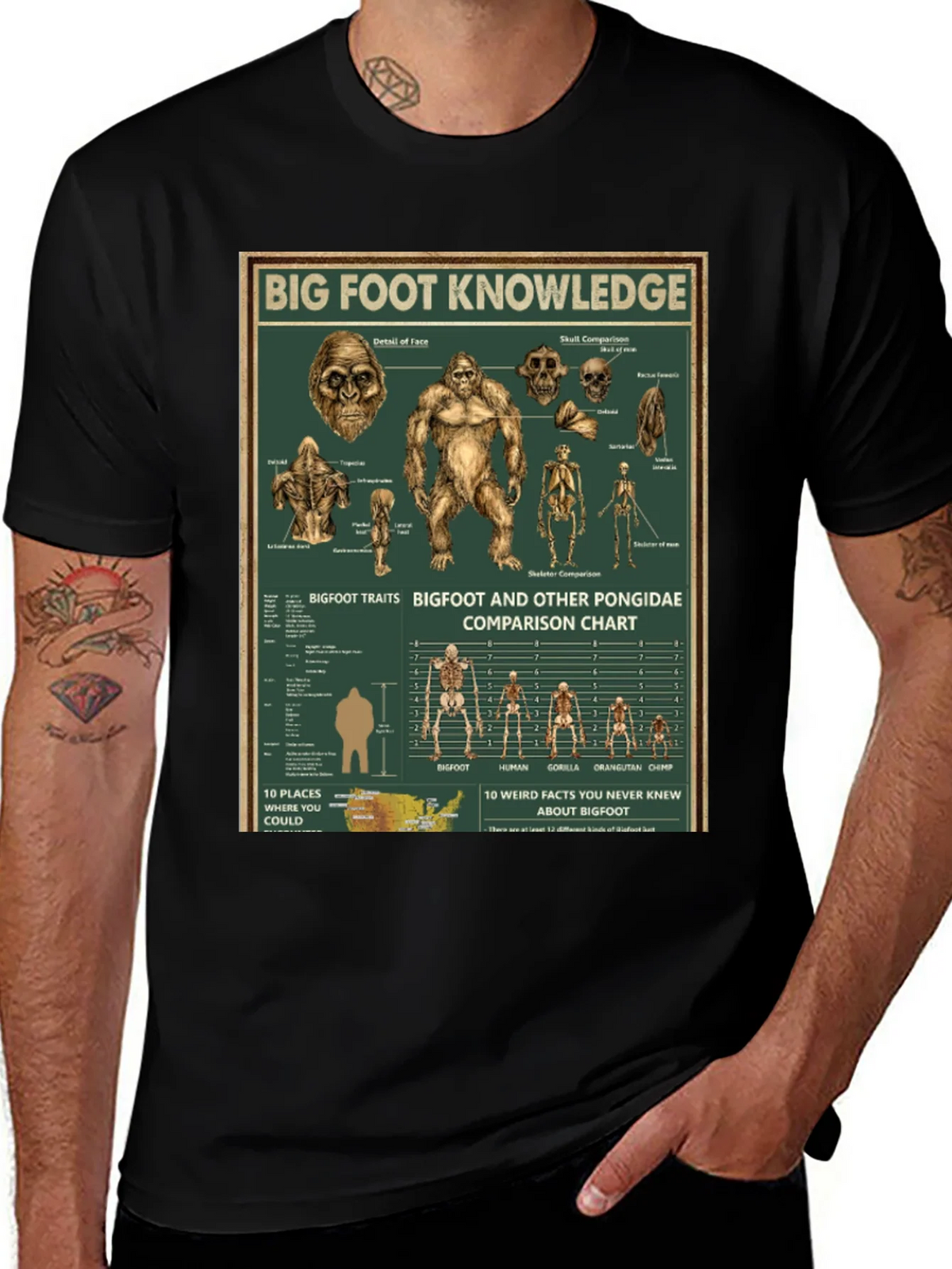 Bigfoot Knowledge Graphic T-Shirt product image 1