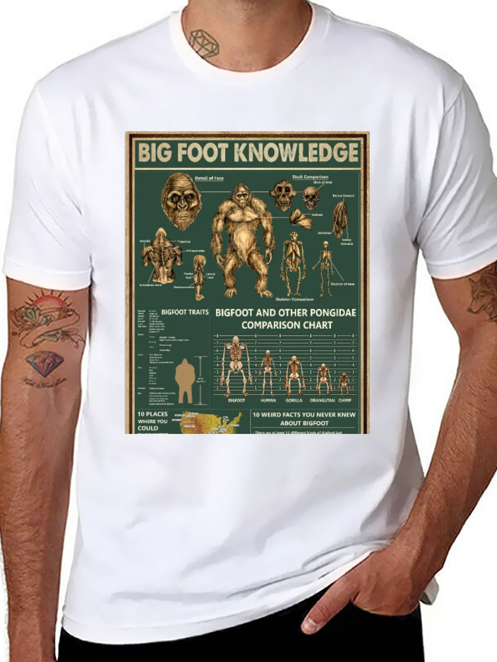 Bigfoot Knowledge Graphic T-Shirt product image 7