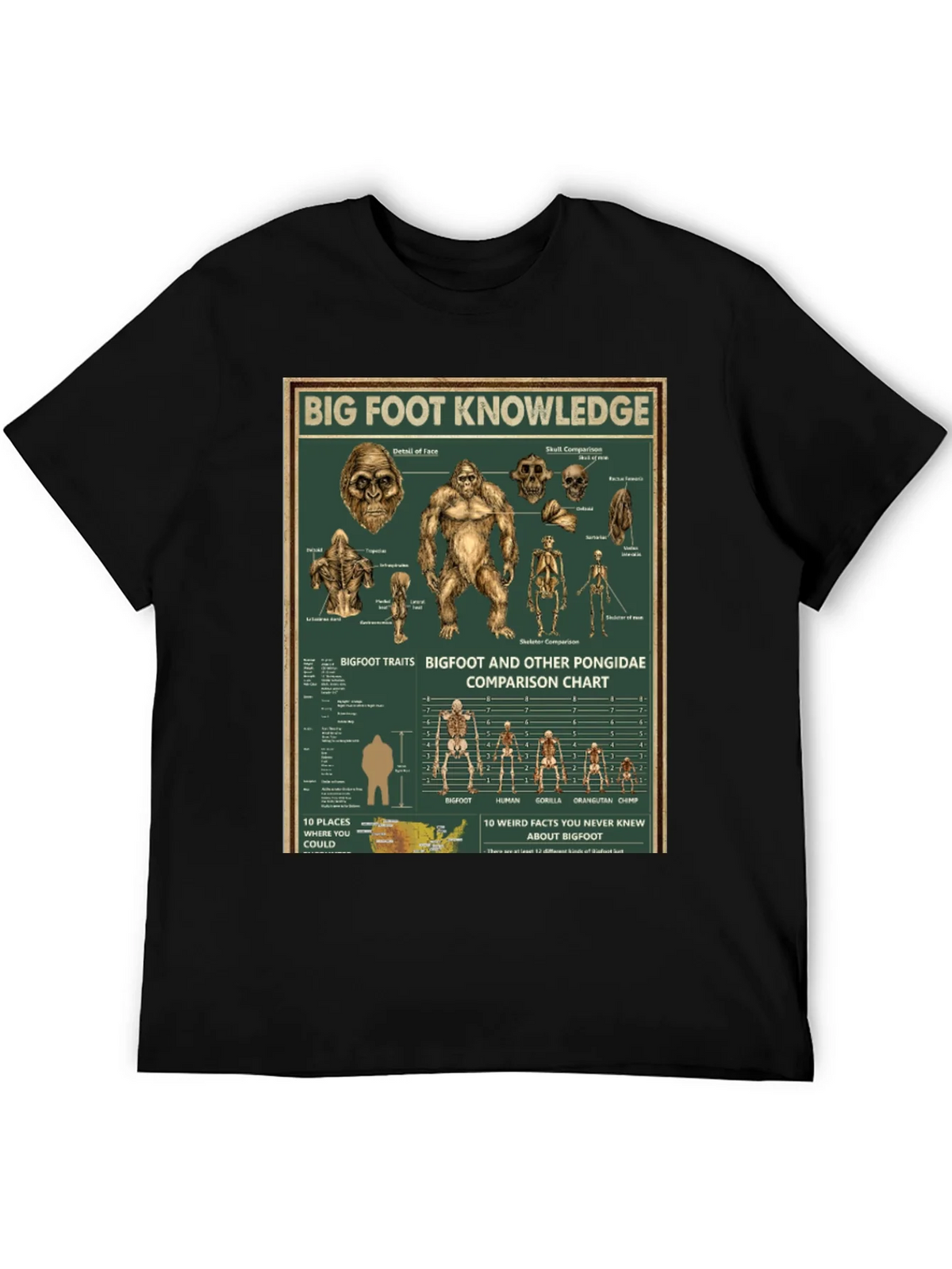 Bigfoot Knowledge Graphic T-Shirt product image 5