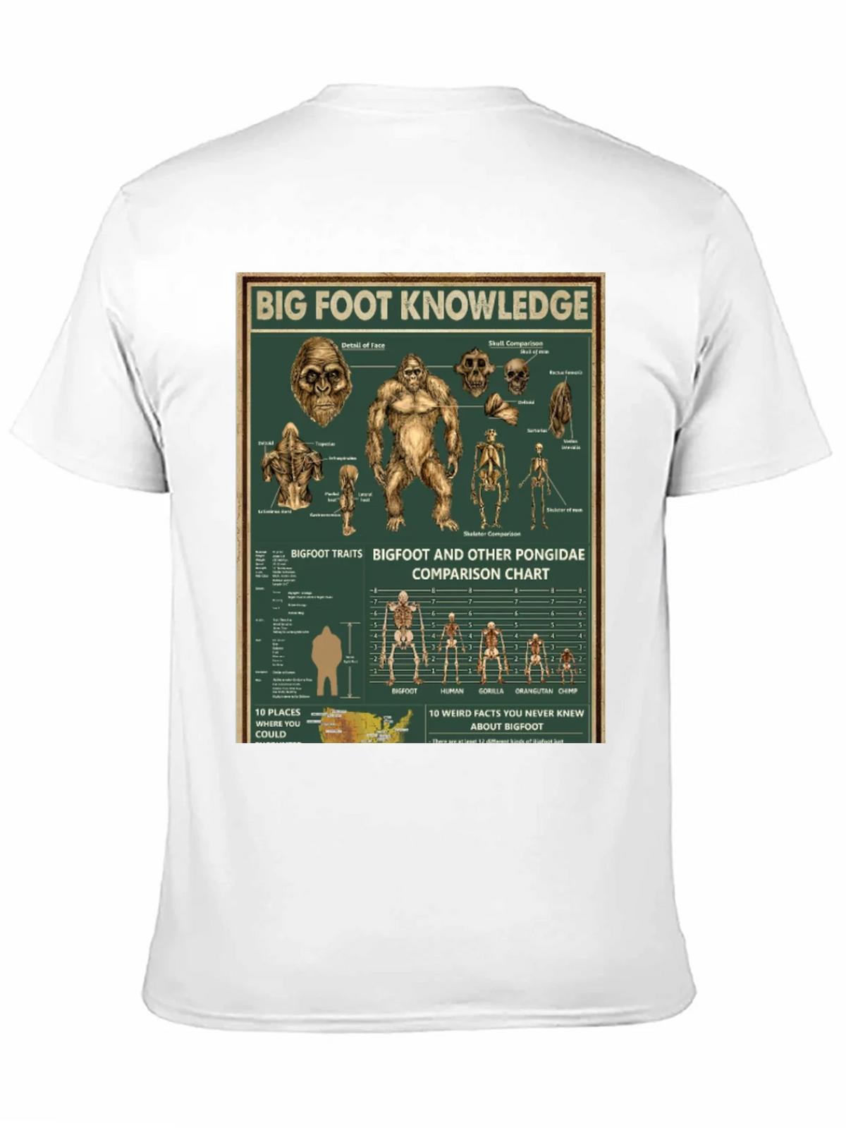 Bigfoot Knowledge Graphic T-Shirt product image 10
